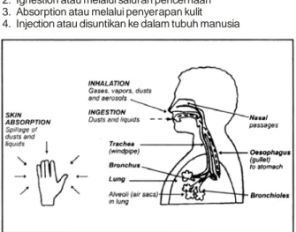 Gambar Route of Entry Chemical