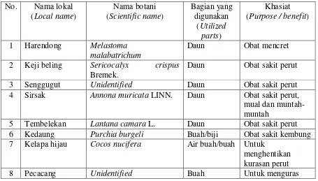 Tabel  (Table) 12. Daftar jenis tumbuhan obat untuk mengobati sakit perut (List of 