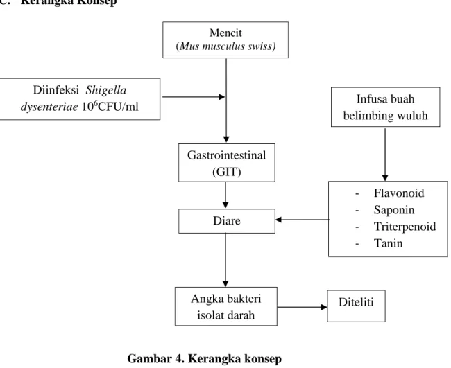 Gambar 4. Kerangka konsep  D.  Hipotesis 