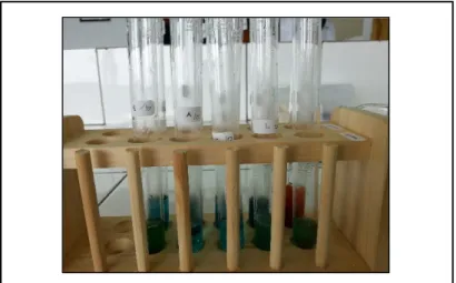 Gambar 2 Hasil Pengamatan Uji Barfoed