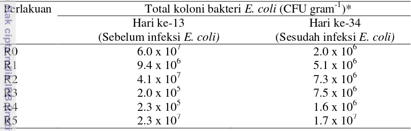 Tabel 4 Rata-rata total koloni bakteri E. coli dalam ekskreta ayam broiler 