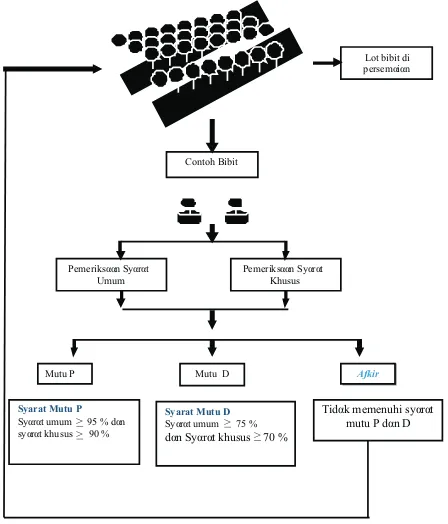 Gambar (FigureRLPS No. P.05/V-Set/2009 () 1.  Alur pemeriksaan mutu bibit berdasarkan Peraturan Direktur JenderalFlow of seedling quality assessment based on Perdirjen RLPSNo