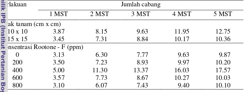 Tabel 7. Rata - rata jumlah cabang tanaman cabai keriting hibrida varietas TM - 