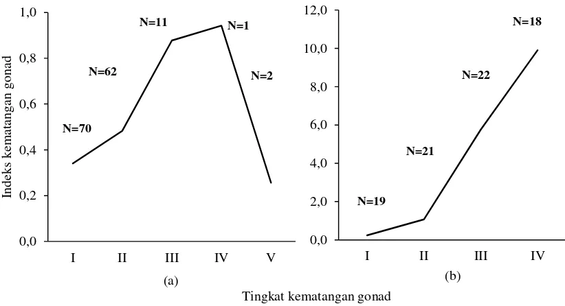 Gambar 4. Indeks kematangan gonad ikan belanak jantan (a) dan betina (b) berdasarkan   bulan pengamatan 