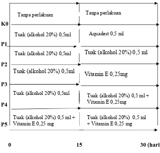 Tabel 2: Desain Perlakuan 