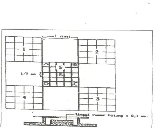 Gambar 3 : Kamar Hitung Improved Neubauer (Zanevald et al., 1986) 