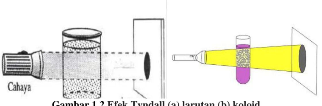 Gambar 1.2  Efek Tyndall (a) larutan (b) koloid 