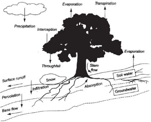 Gambar (Figure) 3. Siklus hidrologi (Hydrological cycle) (Waring and Running, 1998)