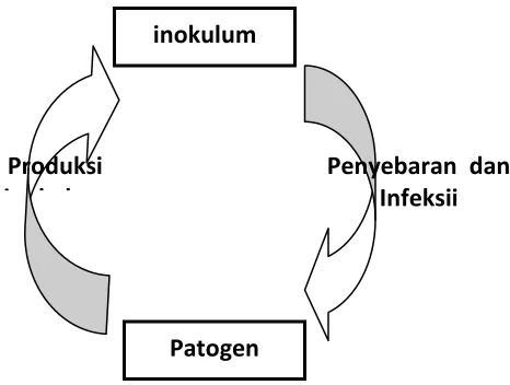 Gambar 2.1 .  Perkembangan penyakit   