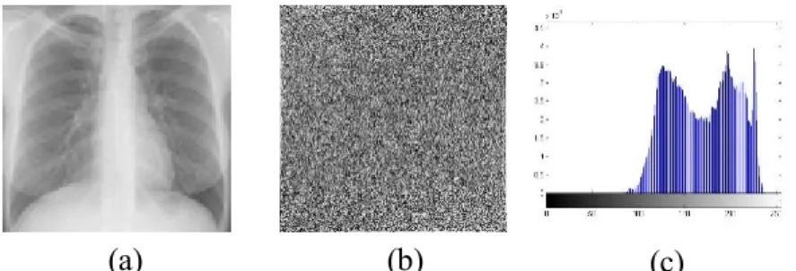 Gambar  3.3 Pemotongan  citra  radiography N1.jpg; (a) N1.jpg  sebelum  dipotong,  (b) N1.jpg setelah dipotong 
