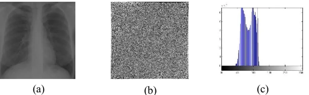 Gambar  3.5 Filter  Highpass;  (a) Filter  Butterworth Highpass; (b) Filter  High Frequency Emphasis  