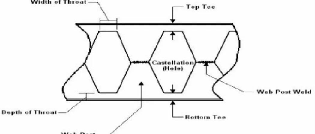 Gambar 3. 11 Komponen Castellated Beam  (Sumber: Bradley, 2003) 