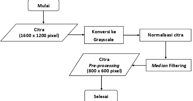 Gambar 1. Proses Pre-processing Citra 