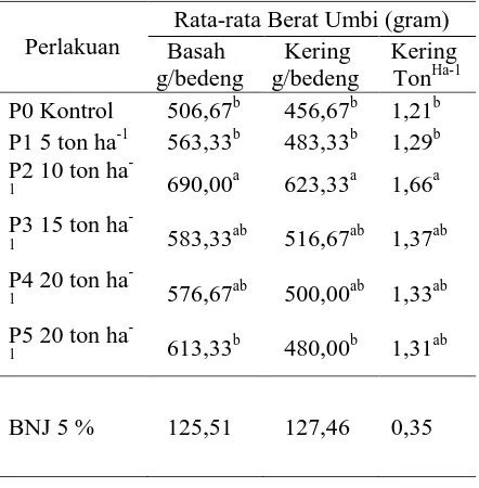 Tabel 4. Rata-rata Berat Umbi Basah g/bedeng, Umbi Kering g/bedeng dan Berat Umbi Kering Ton ha-1 