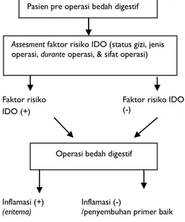 Gambar 1. Alur Assessment IDO  2.  Metode Penelitian 