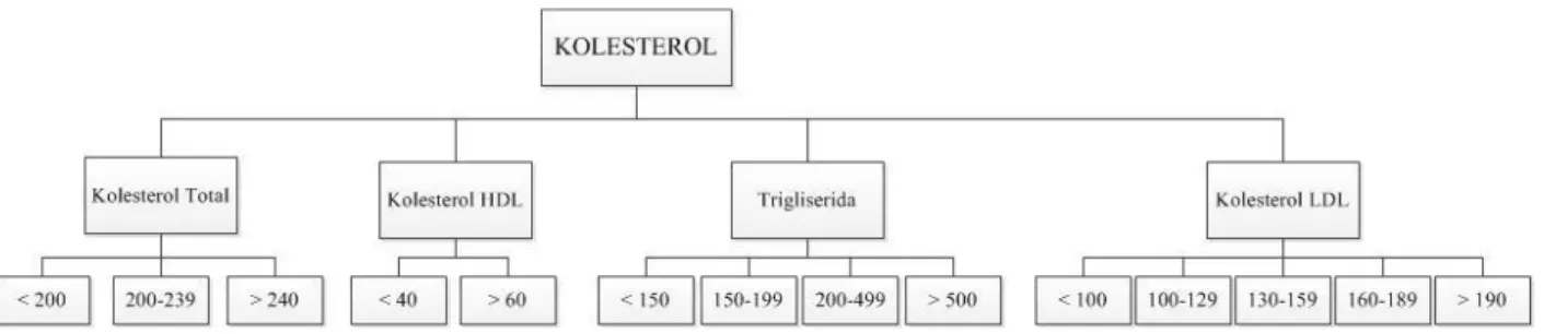 Gambar 3 Pohon Keputusan Sistem Pakar Penentuan Makanan Diet Sehat bagi Penderita  Hiperkolesterol 