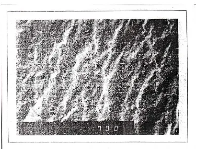 Gambar 4.3. Penampang melintang Komposit polistirena dengan bahan pengisi CaCO3 P.a. komersil dengan perbesaran 700 X
