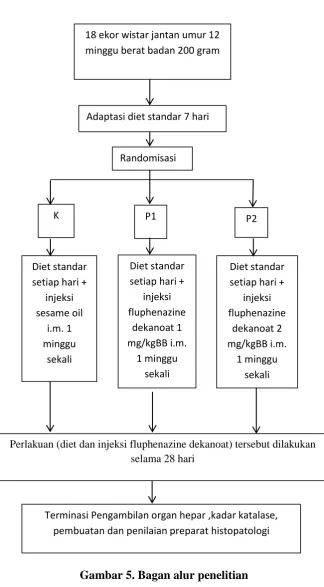 Gambar 5. Bagan alur penelitian 