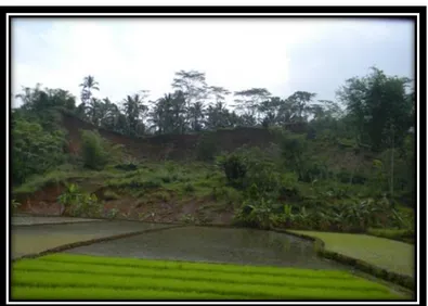 Gambar 1.1 Longsor Besar Dusun Kalisari, Desa Margoyoso yang diteliti   (397777 mT, 9163183 mU) 