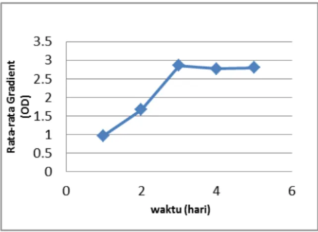 Gambar 5. Grafik hubungan waktu penelitian  dengan rata-rata densitas.  