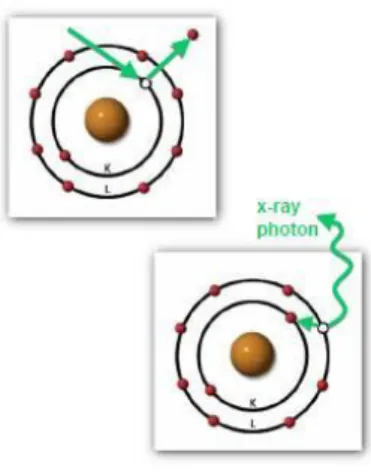 Gambar 1. Prinsip dasar XRF [8] 