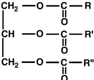 Gambar 1. Struktur trigliserida minyak nabati 