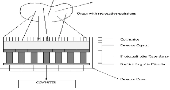 Gambar 1. Proses pencitraan menggunakan perangkat scintigraphy  [3] . 