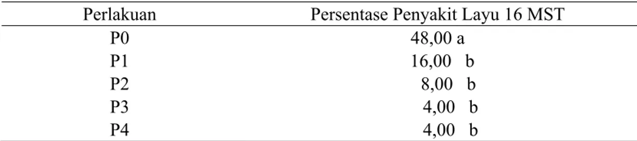 Tabel 5. Persentase Penyakit Layu Fusarium pada Tanaman Cabai Besar di Rumah Kaca  Perlakuan  Persentase Penyakit Layu 16 MST 