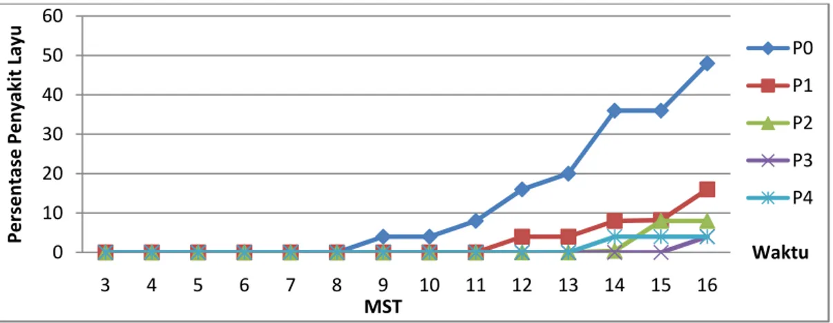 Gambar 1. Grafik Perkembangan Persentase Peyakit Layu Fusarium pada Tanaman  Cabai Besar di Rumah Kaca 