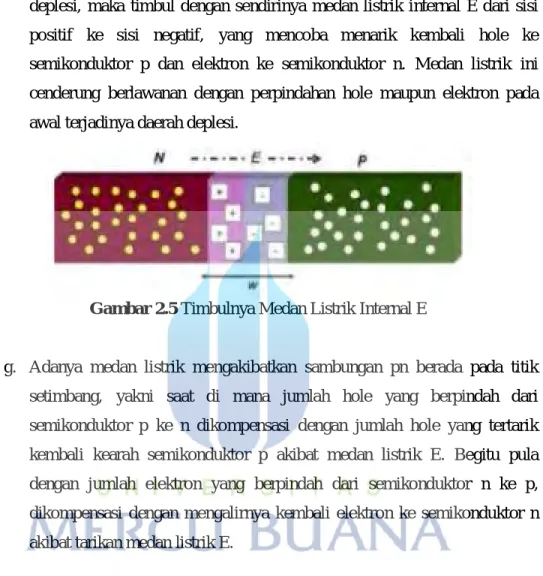 Gambar 2.5 Timbulnya Medan Listrik Internal E  