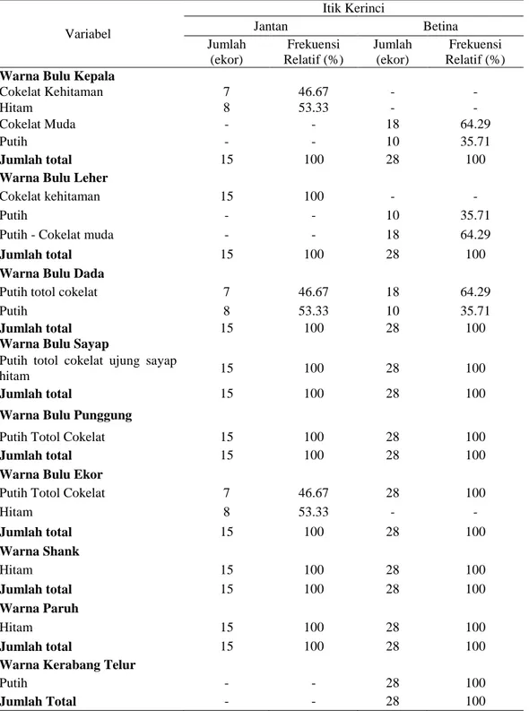 Tabel  2  menunjukkan  bahwa  sifat  kualitatif  ternak  itik  Kerinci  yang  diamati menunjukkan adanya perbedaan warna pada beberapa bagian tubuh