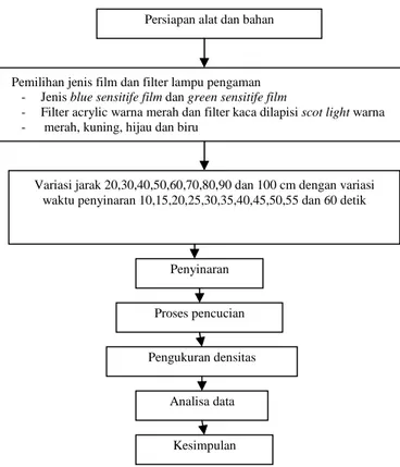 Gambar 3.  Diagram blok penelitian pada  green sensitife film dan blue sensitife film Pemilihan jenis film dan filter lampu pengaman 