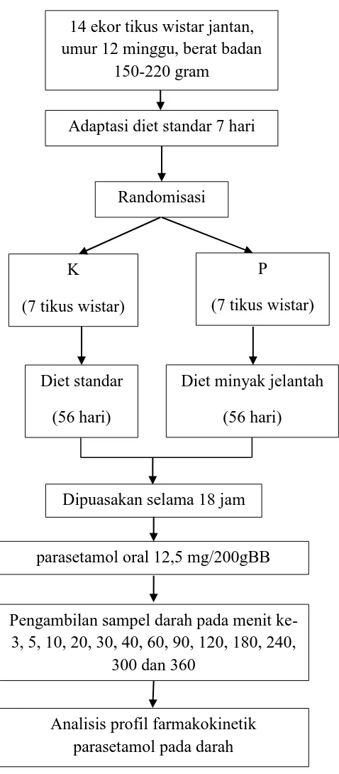 Gambar 5. Alur penelitian 