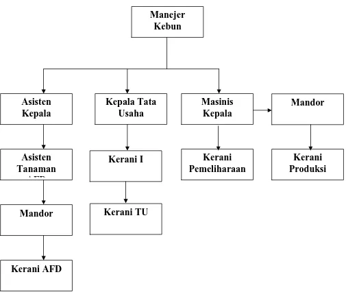 Gambar 1: Struktur Organisasi PT Ganda Buanindo (GBI) Kec. Kampar 