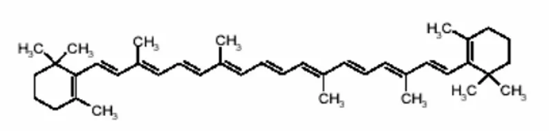Gambar 1. Struktur molekul β-karoten (Machlin, 1991)