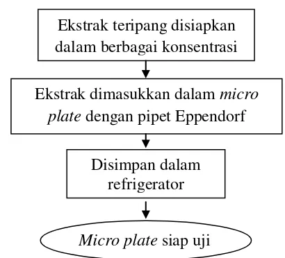 Gambar 9. Diagram alir penyiapan micro plate 96 well 