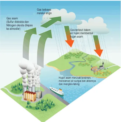 Gambar 12. Proses Pembentukan Hujan Asam.Sumber: National Geographic, 2007.