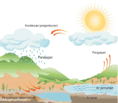 Gambar 1. Siklus Hidrologi (dimodiikasi dari sumber www.excelwater.com).