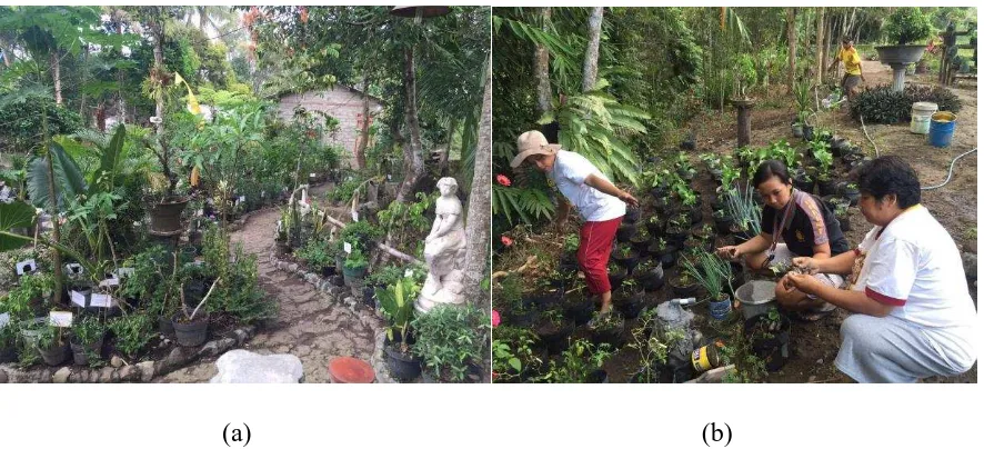 Gambar 3. (a) Miniatur taman Tanaman Obat Keluarga (TOGA), dan (b) kegiatan penanaman tanaman di miniatur taman TOGA 