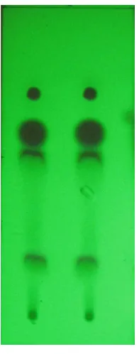 Gambar 1. Profil kromatogram minyak atsiri rimpang bengle.