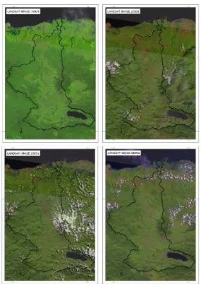 Gambar 3. Citra satelit dari waktu ke waktu DAS Krueng Peusangan 