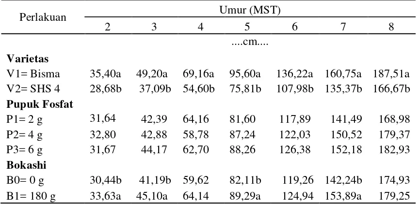Tabel 1.Rataan tinggi tanaman 2 MST s/d  8 MST  pada varietas, pupuk fosfat dan bokashi 