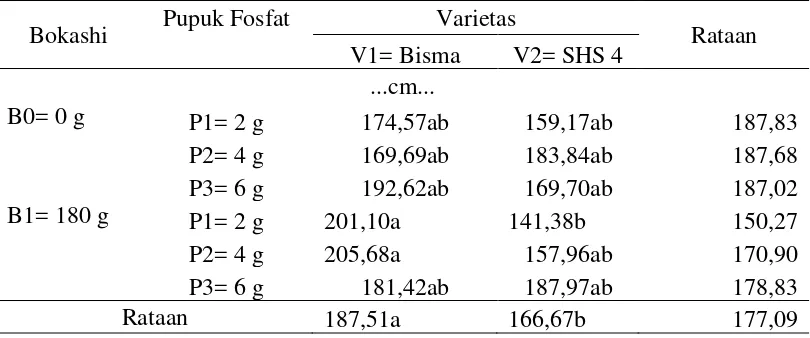 Tabel 2. Rataan tinggi tanaman 8 MST dari interaksi antara varietas,pupuk fosfat dan bokashi  