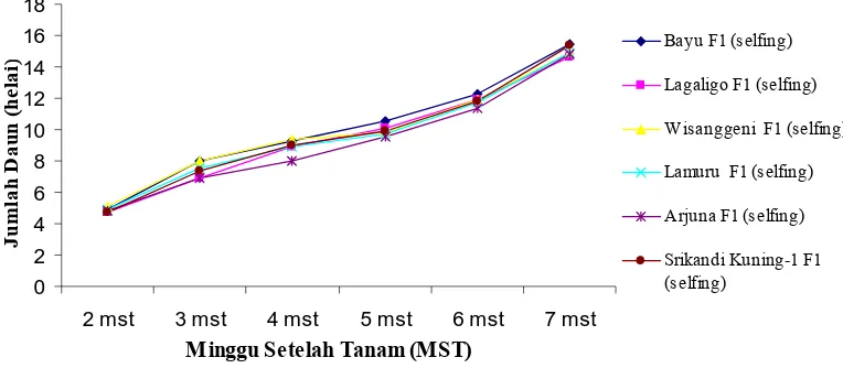 Gambar 2. Grafik Pertambahan Jumlah Daun 