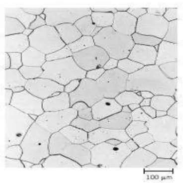 Gambar 2.13  Struktur mikro dari spesimen paduan besi-kromium dimana  batas butir tampak terlihat gelap (Callister, 2009)