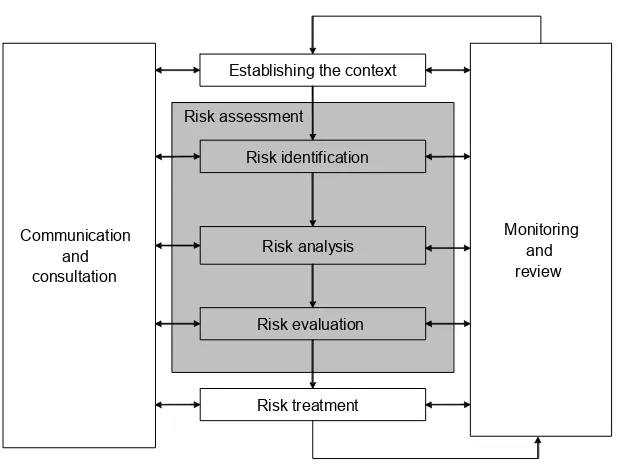 Figure 1 – Contribution of risk assessment to the risk management process  