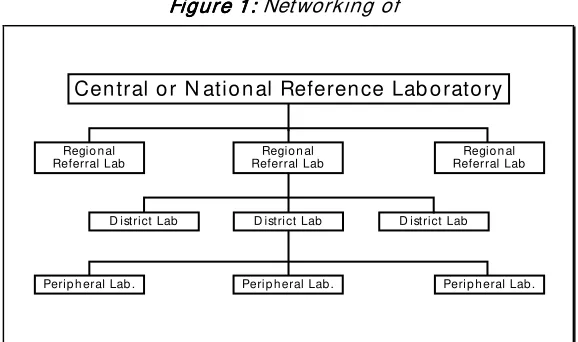 Figure 1: Figure 1: Networking of Figure 1: Figure 1: 