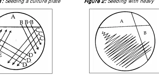 Figure 2: Figure 2: Seeding with heavy Figure 2: Figure 2: 