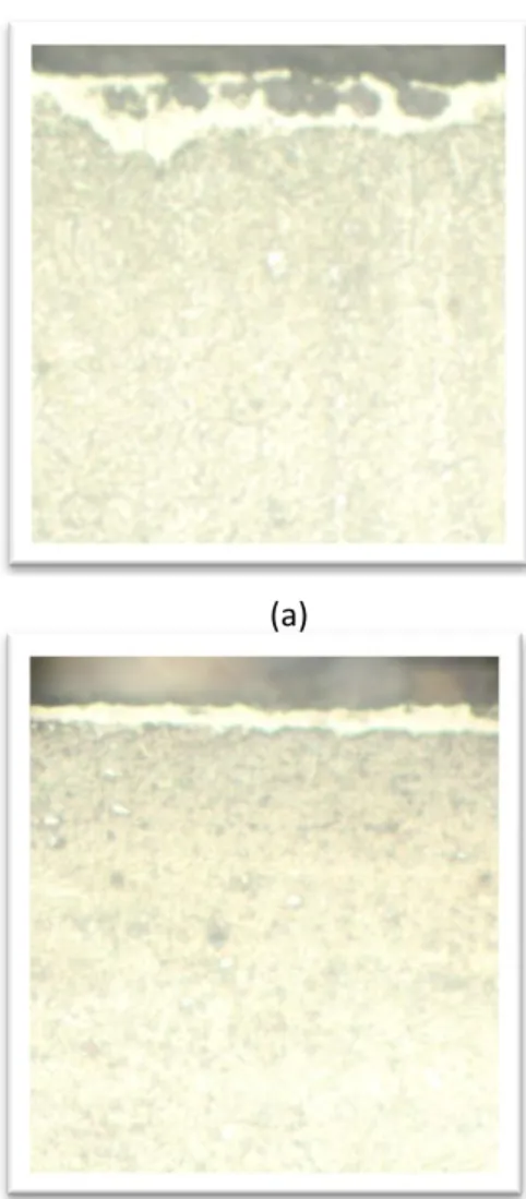 Gambar 6. Struktur mikro raw material 