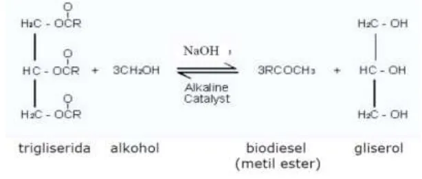 Gambar 2.1. Reaksi yang terjadi pada pembuatan Biodiesel/Diesel 
